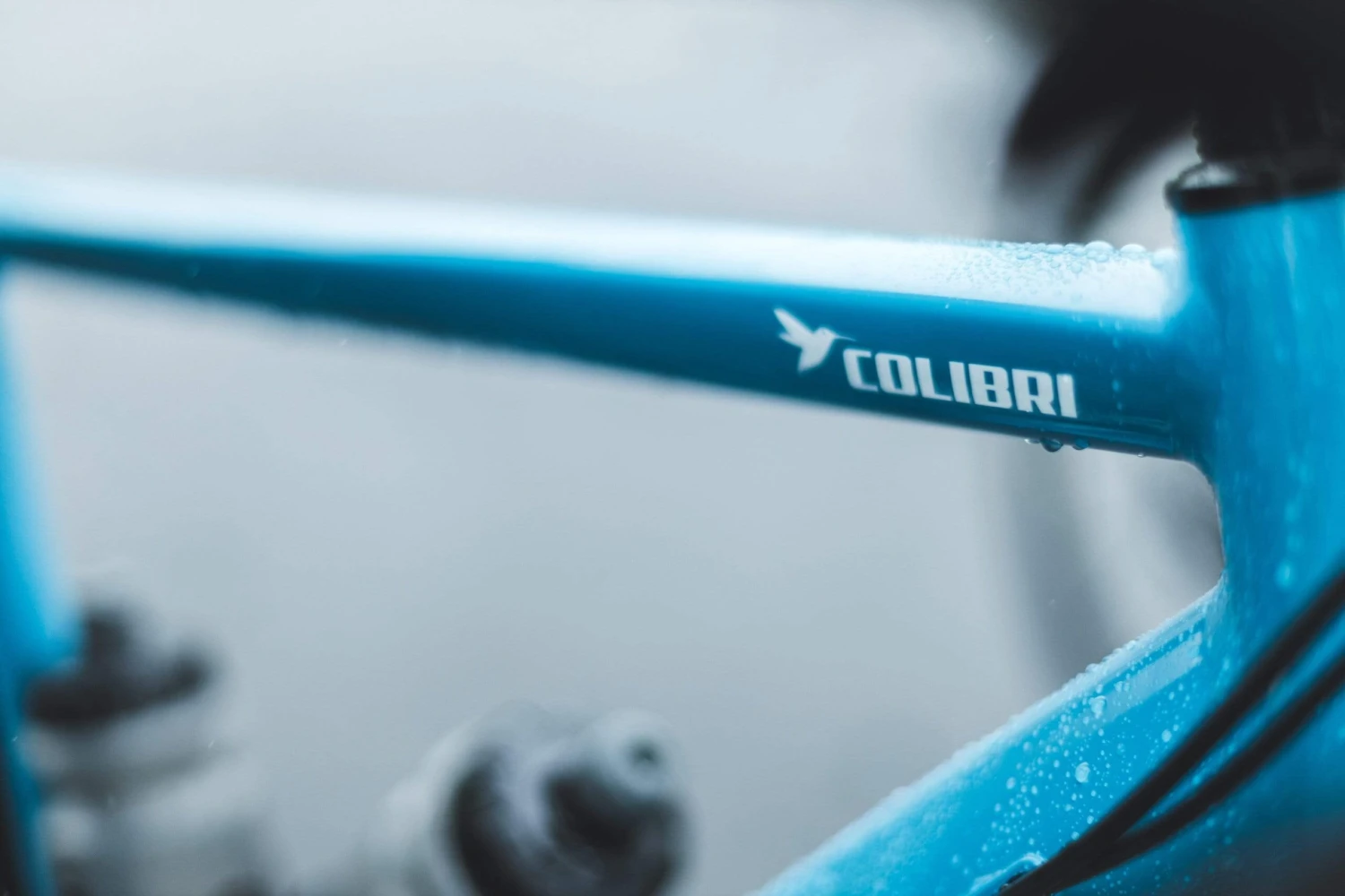 CLOSED Colibri Al Ultegra 13 CLOSED Colibri Al Ultegra - Image 11