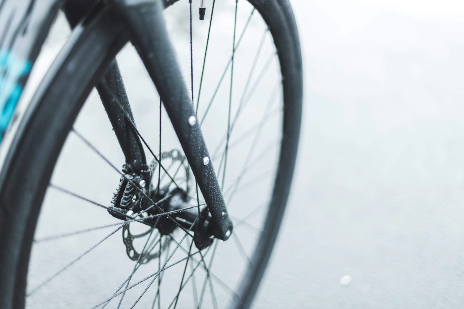 CLOSED Colibri Al Ultegra 9 CLOSED Colibri Al Ultegra - Image 7