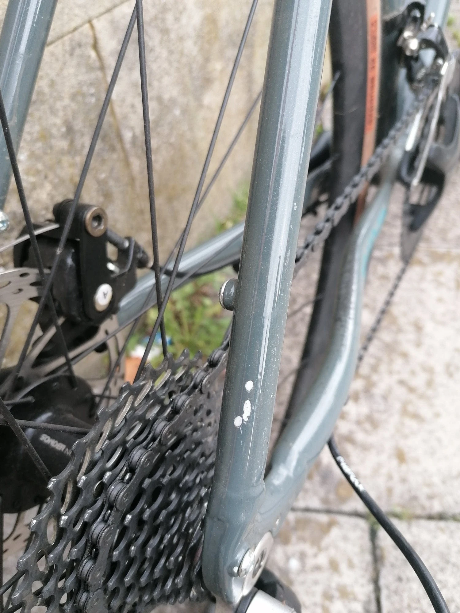 Colibri Al / Medium 7 Colibri Al / Medium - Image 5