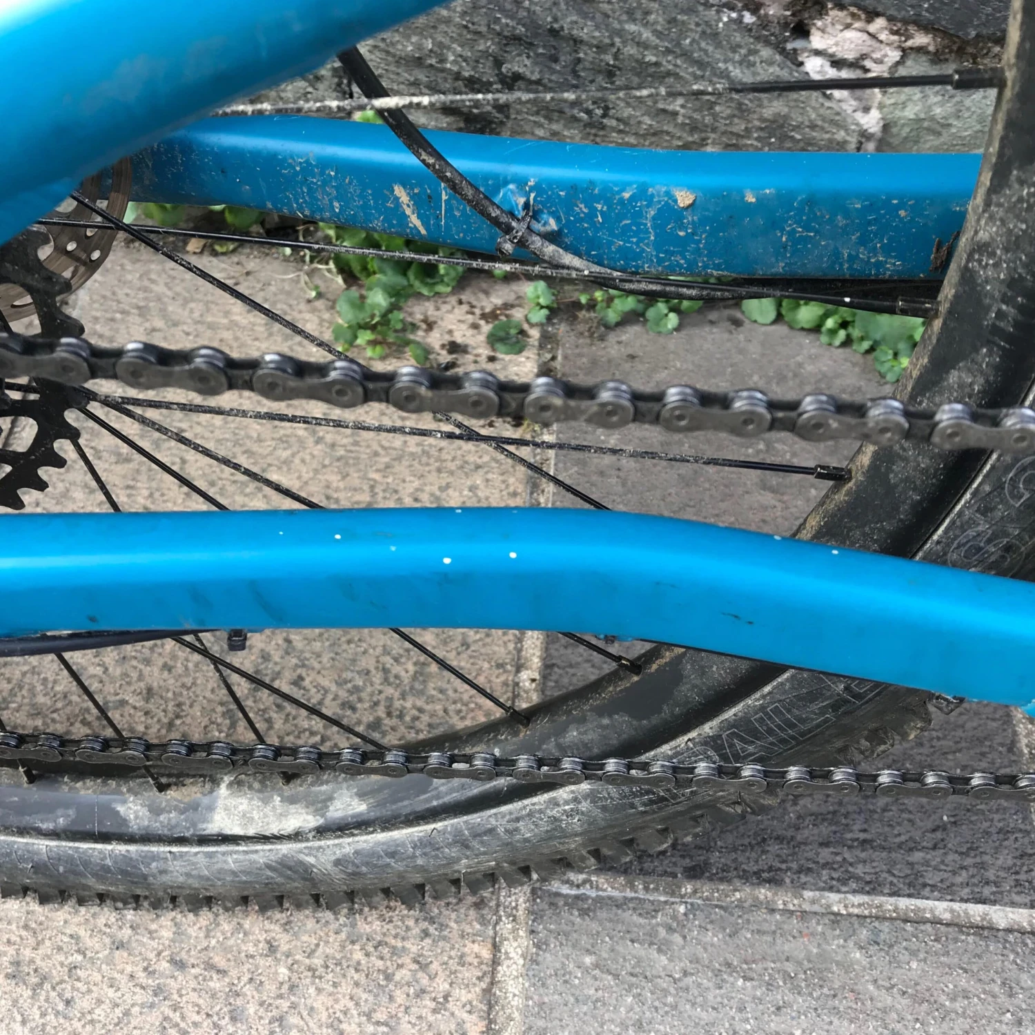 Evol / X-Large 7 Evol / X-Large - Image 5