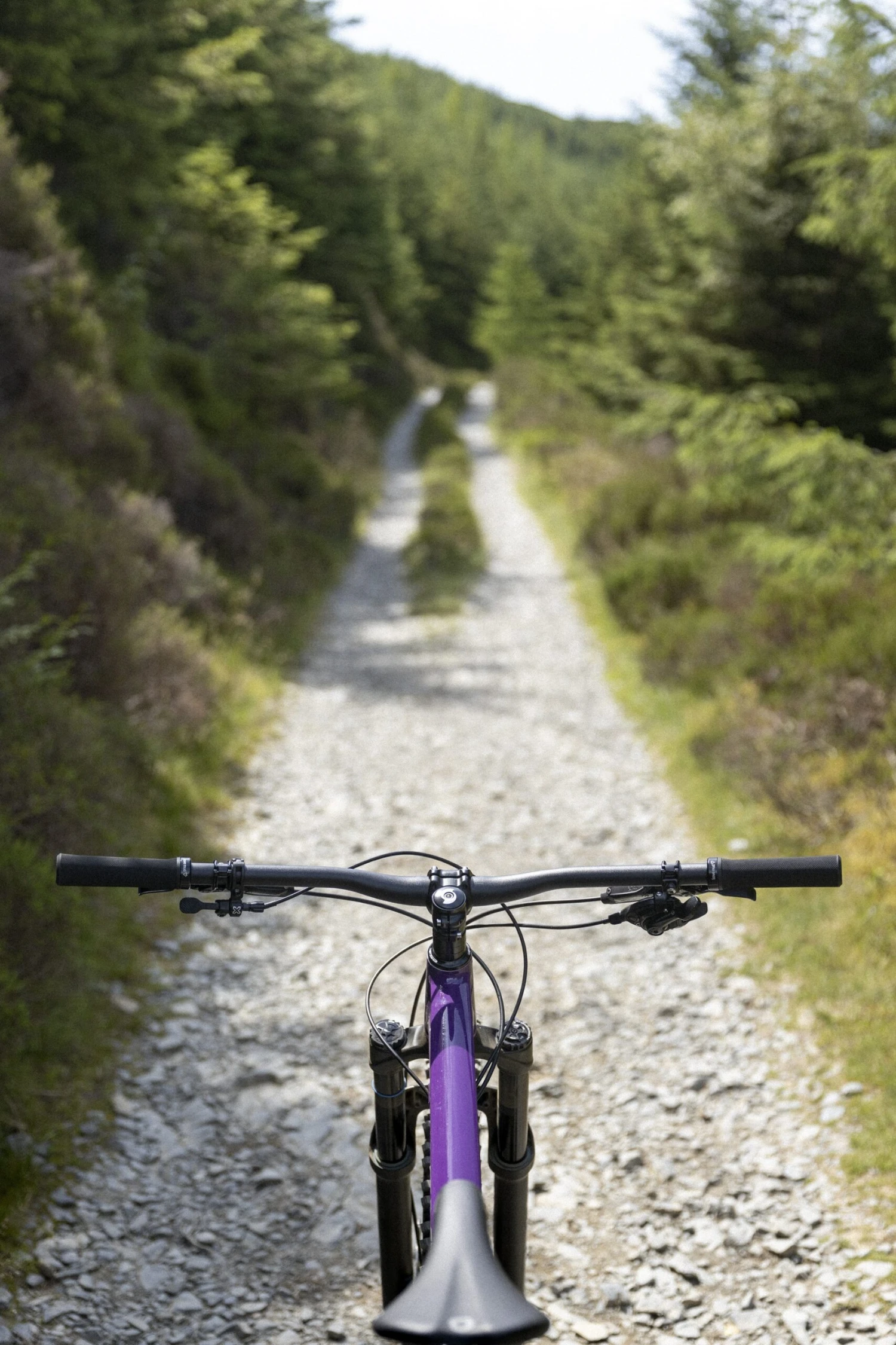 Sonder Abode 13 Sonder Abode - Image 11