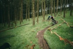 Signal St SX Eagle -Alpkit Shop sonder signal steel action 1 1