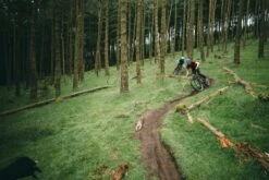 Signal ST GX Eagle -Alpkit Shop sonder signal steel action 1 cafd5dd1 994b 445c ac28 fe40364af247 1