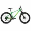 CLOSED Transmitter Carbon NX Eagle 2 CLOSED Transmitter Carbon NX Eagle -Alpkit Shop transmitter c green low res copy