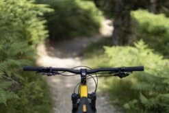 Sonder Zone -Alpkit Shop zone location 3